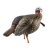 Avian-X Turkey Decoy HDR Jake Quarter-Strut AVX8105 -Outdoor Sports Store AvianX 00103 Avian X Turkey Decoy HDR Jake Strut AVX8105
