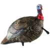 Avian-X Turkey Decoy LCD Jake Quarter Strut AVX8003 -Outdoor Sports Store AvianX 08003 Avian X Turkey Decoy LCD Jake Quarter Strut AVX8003