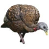 Avian-X Turkey Decoy LCD Feeder Hen AVX8007 -Outdoor Sports Store AvianX 08007 Avian X Turkey Decoy LCD Feeder Hen AVX8007