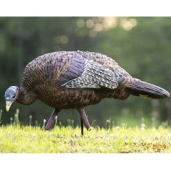 Avian-X Turkey Decoy LCD Feeder Hen AVX8007 -Outdoor Sports Store AvianX 08007 Avian X Turkey Decoy LCD Feeder Hen AVX8007 Pic