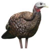 Avian-X Turkey Decoy LCD Breeder Hen AVX8008 -Outdoor Sports Store AvianX 08008 Avian X Turkey Decoy LCD Breeder Hen AVX8008