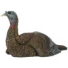 Avian-X Turkey Decoy LCD Laydown Hen AVX8011 -Outdoor Sports Store AvianX 08011 Avian X Turkey Decoy LCD Laydown Hen AVX8011