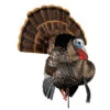 Avian-X Turkey Decoy HDR Strutter Tom AVX8108 -Outdoor Sports Store AvianX 08108 Avian X Turkey Decoy HDR Strutter AVX8108
