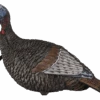 Flextone Thunder Jake Turkey Decoy FLXDY317 -Outdoor Sports Store Flextone 00982 Flextone Thunder Jake Turkey Decoy FLXDY317