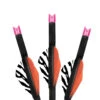 Lumenok Lumen Arrow Lighted Crescent Nock Pink Crossbow Bolt 22″ 3 Pack BECC223P -Outdoor Sports Store LUM Lumenok Bolts 22 Crescent Lighted Nock Pink