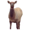 Montana Decoy Company Eichler Cow Elk -Outdoor Sports Store Montana 00041 Eichler Elk 1