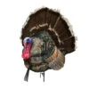 Montana Decoy Company Turkey Wiley Tom 3D Decoy 19″x13″x5″ -Outdoor Sports Store Montana 00044 Montana Decoy Wiley Tom 3D Turkey Decoy 0044
