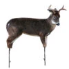 Montana Decoy Company Deer The Freshman Buck 37″x48″ -Outdoor Sports Store Montana 00046 The Freshman Buck 1