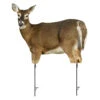 Montana Decoy Company Trixie Whitetail Doe Decoy -Outdoor Sports Store Montana 00053 Montana Decoy Trixie Whitetail Doe Decoy 0053