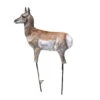 Montana Decoy Company Antelope Fawn Predator Decoy 0080 -Outdoor Sports Store Montana 00080 Montana Antelope Fawn Predator Decoy 0080