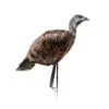 Montana Decoy Company Turkey Miss Purrfect XD Hen 0084 -Outdoor Sports Store Montana 00084 Montana Decoy Miss Purrfect XD Turkey Hen 0084 Upright