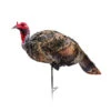 Montana Decoy Company Turkey Jake Purrfect XD 0085 -Outdoor Sports Store Montana 00085 Montana Decoy Jake Purrfect XD Turkey 0085 Upright