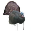Primos Decoys Turkey B-Mobile Gobbler Tom Decoy 69041 -Outdoor Sports Store Primos 69041 B Mobile Gobbler