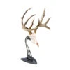 Skull Hooker Table Hooker Antler Mount Black TH-Assy-BLK -Outdoor Sports Store Skull 00206 Table Hooker Black
