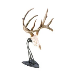 Skull Hooker Table Hooker Antler Mount Black TH-Assy-BLK